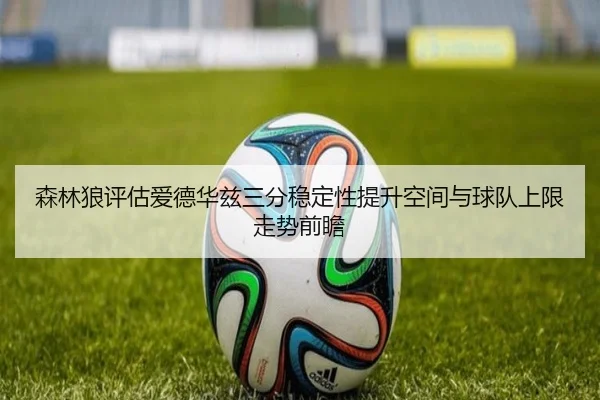 森林狼评估爱德华兹三分稳定性提升空间与球队上限走势前瞻